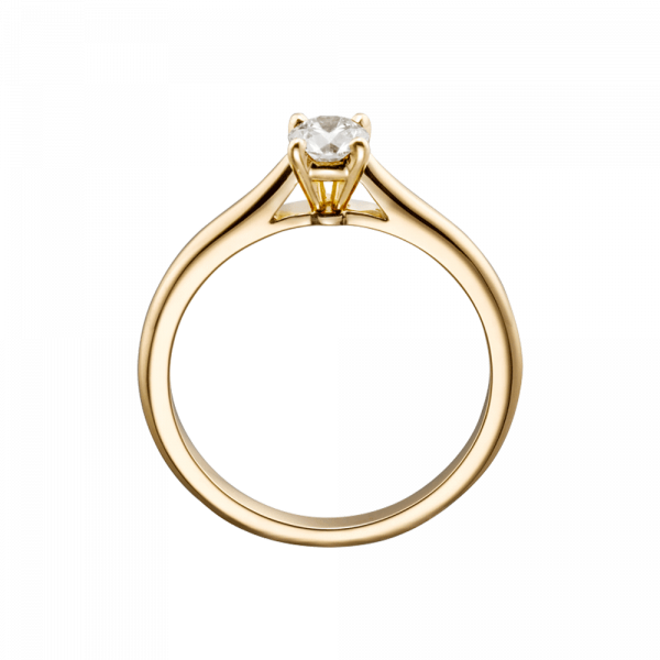 Nine inch Ring